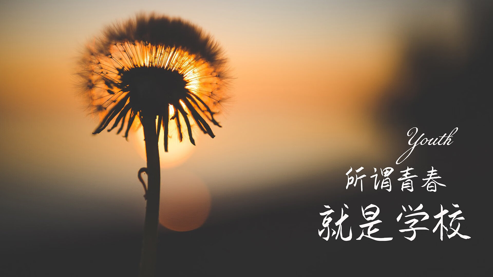 库里：让“远程火炮”成为联盟的标志！，库里操作