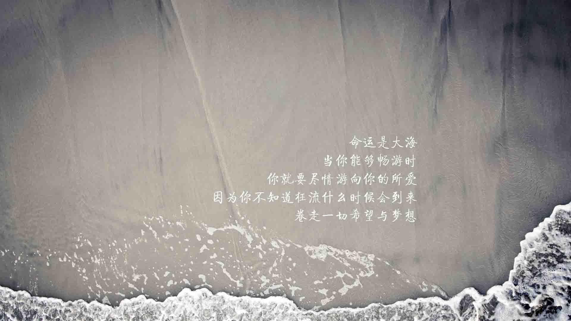 开云中国-T1战队品牌价值稳步提升，t1战队百度百科