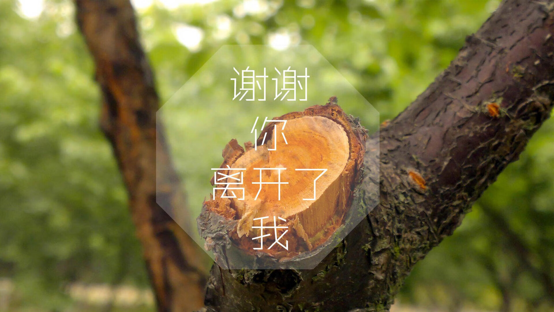 开云中国大陆-苏宁主场大捷，领先势如破竹稳占前列，苏宁球场进展