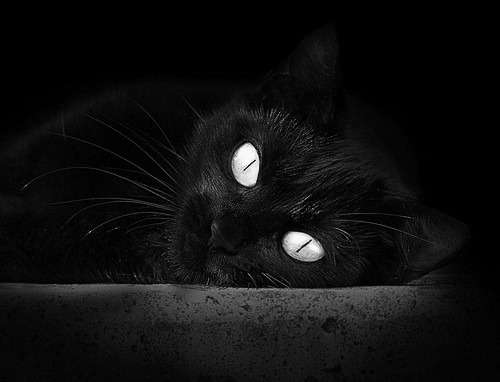 中小学体育课程内容优化实践,中小学体育课程一体化研究