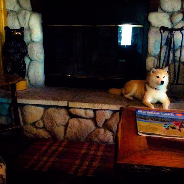 城市健身空间资源合理配置研究,城市健身空间资源合理配置研究论文