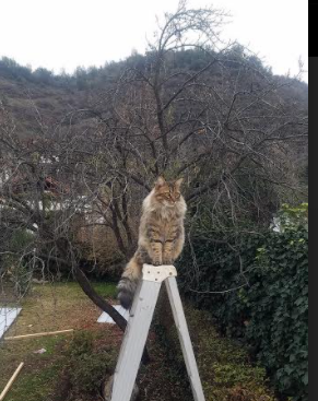 城市健身空间资源合理配置研究,城市健身空间资源合理配置研究论文