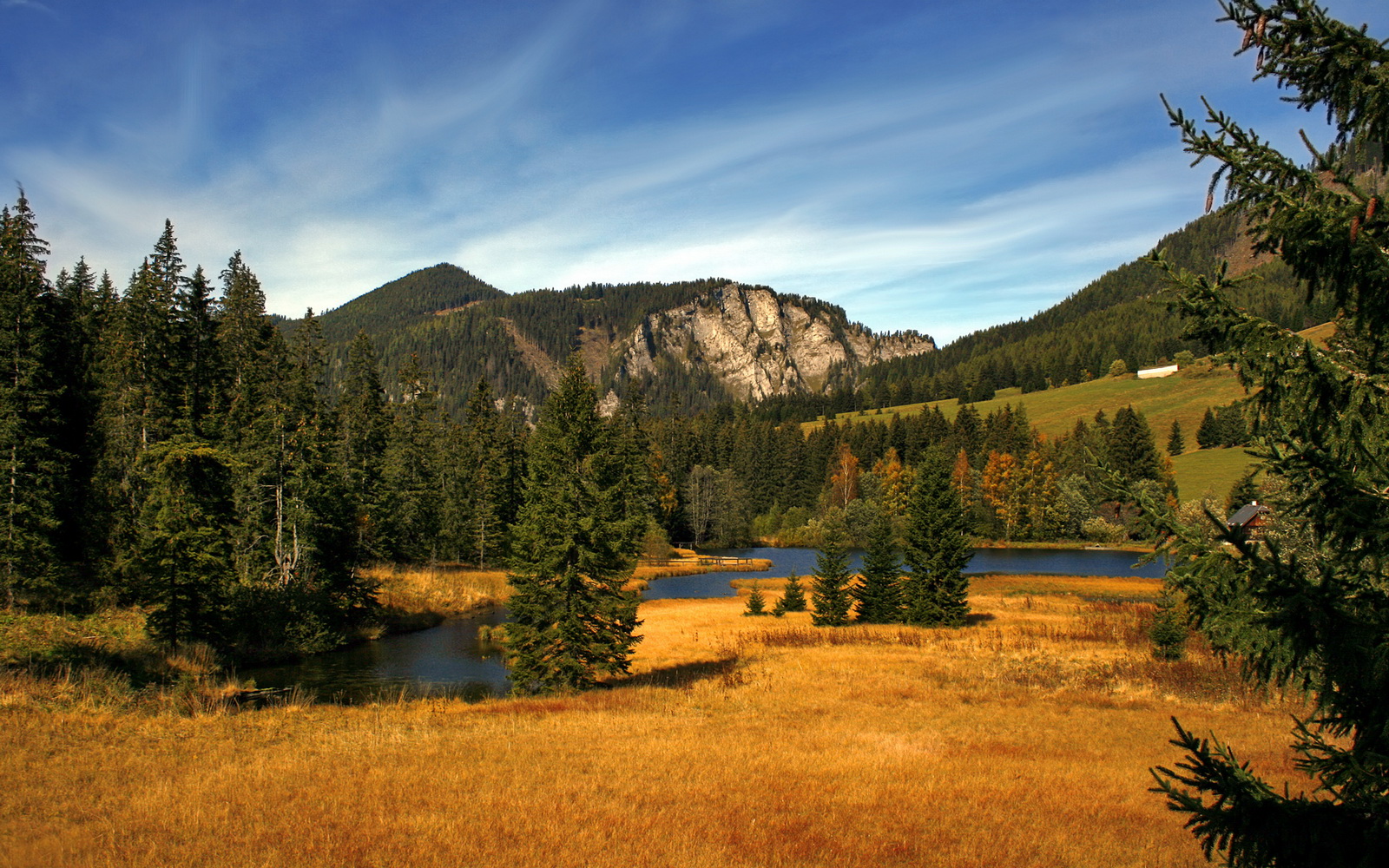 高校校园马拉松赛事组织与管理模式研究，校园马拉松方案