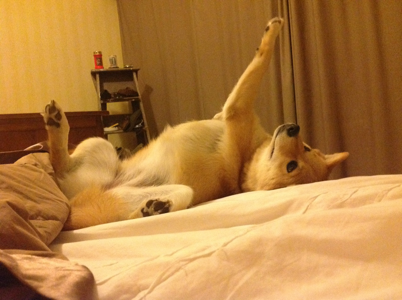 中场断球与反击速度体现教练风格差异化痕迹,篮球中断球是什么意思