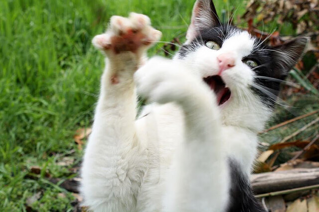 开云·体育官网APP下载-奥预赛U23国足迎战 球员心理承压明显，u23国足比赛时间