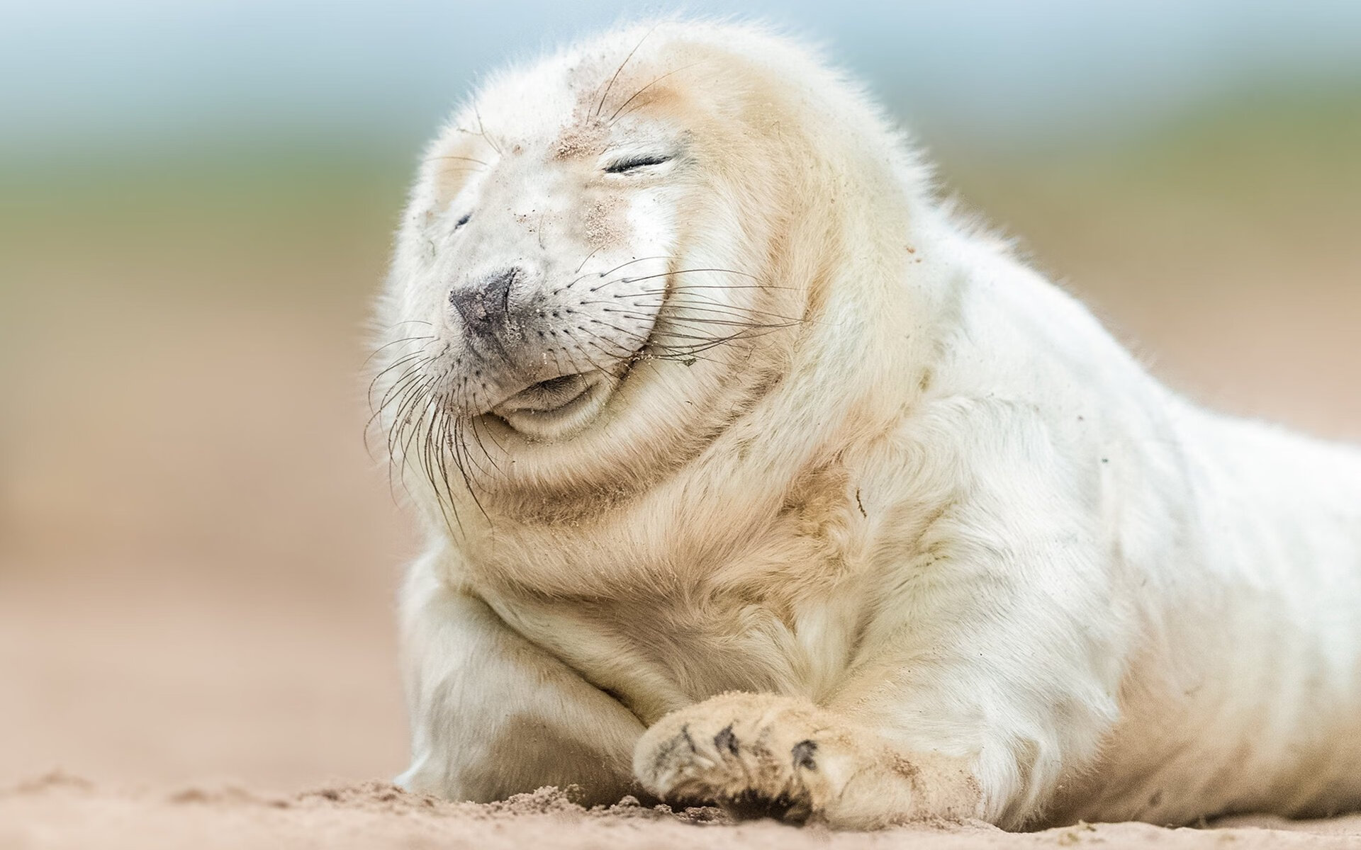 开云体育APP下载-换人战术灵活，助力关键比赛逆转，六种换人方案