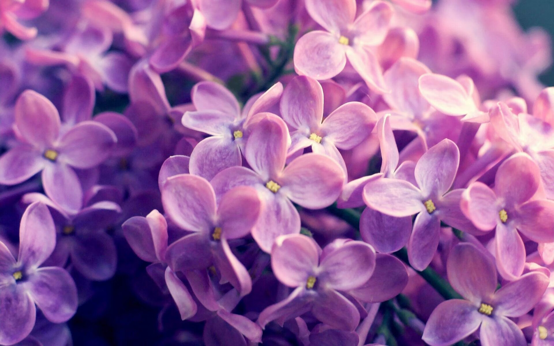 英超激烈角逐，豪门之间拼抢不断