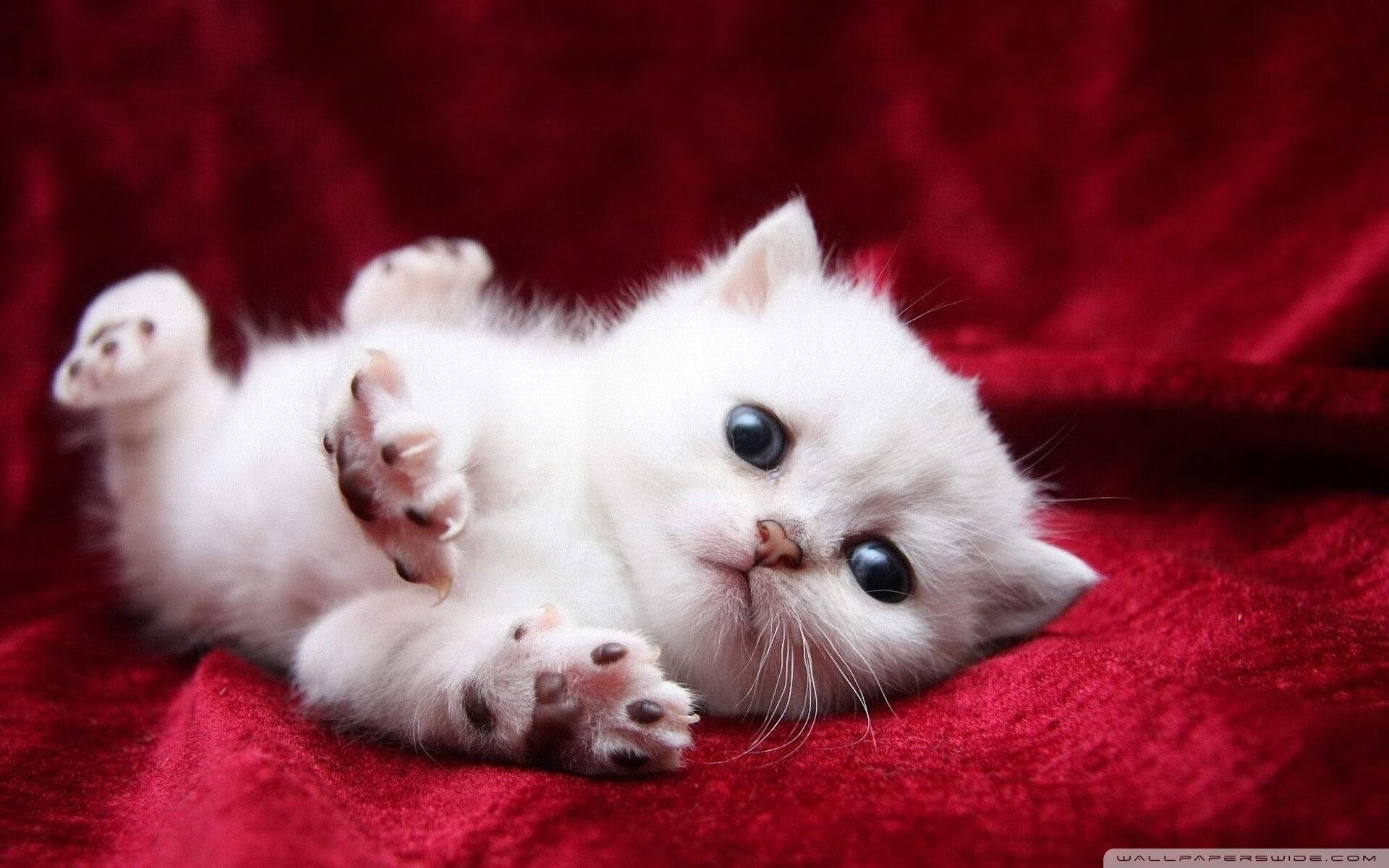 西甲赛季的商业运营创新实践，西甲竞争力